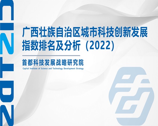 爆肏女人大屄【成果发布】广西壮族自治区城市科技创新发展指数排名及分析（2022）